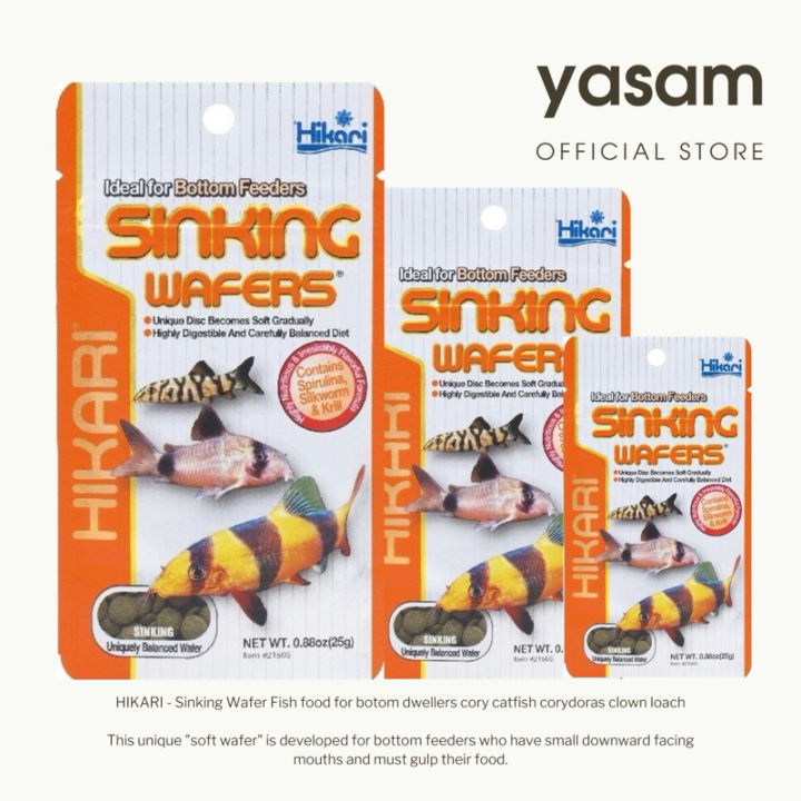 HIKARI Sinking Wafer Fish food for botom dwellers cory catfish corydoras clown loach Lazada