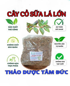 1kg cỏ sữa lá lớn sấy khô