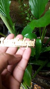 Kalung Titanium Anti Karat Custom Lapis Emas Ukir Nama Fashion 2024