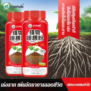 ดอกไม้และพืชอวบน้ำได้อย่างรวดเร็ว ผงรากระเบิด