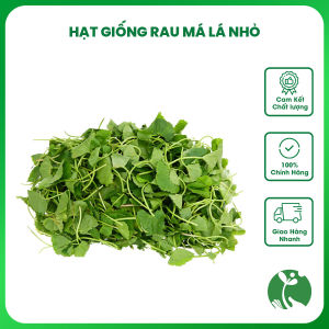 Hạt giống rau Má lá nhỏ (Rau má ta) - Gói 2gr - Tỉ lệ nảy mầm >90% - Trồng quanh năm