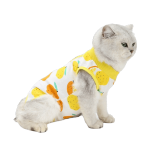 LAIFLE Fruit Printed Cat Recovery Clothing Breathable High Elasticity Pet Anti-Licking Vest Lightweight Comfortable Cat Jumpsuit Pet Care