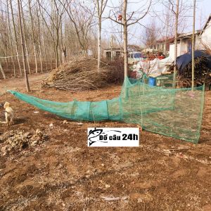 Đăng chặn sông cống - bắt tôm tép tất cả các loại cá - Dớn bắt cá cua lươn - Đồ Câu 24h