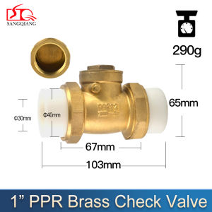 Sang Qiang PPR Brass Fittings Double Union Swing Check Valve Water pipe hot melt SIZE (1/2“ 3/4” 1“ 1-1/4” 1-1/2“ 2“ )