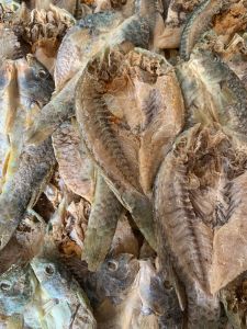 Ikan Asin Metor Ikan Laut Ikan Kering Metor Hijau Ikan Kering Asin