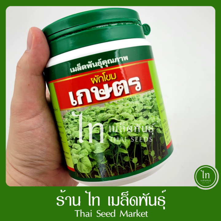 เมล็ดพันธุ์ผักโขม ลูกผสม ตราเสือดาว