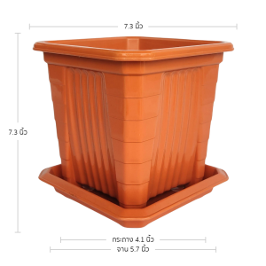 กระถาง กระถางสี่เหลี่ยม + จาน ขนาด 7 นิ้วสูง สีดำ สีขาว สีเทา สีอิฐ Bundle 5 ใบ ชิ้น อัน