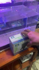 Pompa Celup Water Pump SP 2600 Low Noise: Solusi Pompa Air Berkualitas Tinggi