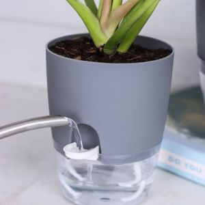 Chậu Trồng Cây Thông Minh Tự Tưới Nước Decor Văn Phòng A705 kích thước cao 14.5cm miệng 10.5cm