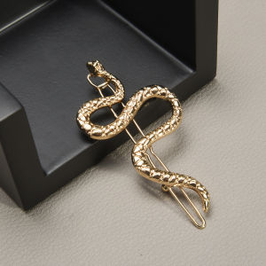X.Z.MOONLIGH Ins Snake-Shaped Hairpin Retro Creative Personality Headdress Snake Year Dark Style Side One-Word Clip Bangs Clip for Women