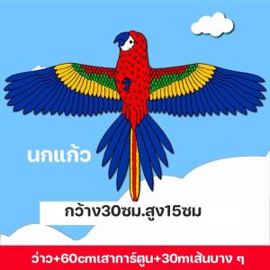 COD ว่าว ว่าวเครื่องบิน พิมพ์ลาย ตัวใหญ่ ขนาด 160cm สีสดใส เล่นได้ทั้งผู้หญิงและผู้ชาย