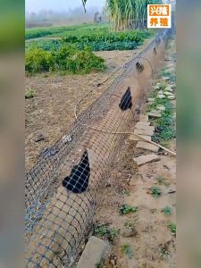 Durable Galvanized Iron Mesh Cage Anti-Corrosion Outdoor Chicken Run Tunnel Free Range Poultry Rabbit Breeding Cage