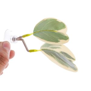 SWEET ELVES Plastic Betta Fish Rest Leaf with Suction Cups Creative Fish  Leaf Grass Ornament Simulated Aquarium Landscaping Fish Tank