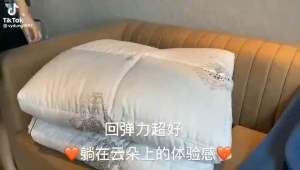 Ruột Chăn Bông Lông Vũ HILLTON Siêu Ấm Mền Lông Vũ 2mx2m3 Siêu Nhẹ Nhập Khẩu Cao Cấp