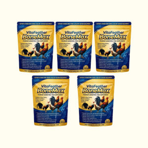 [BUY 1 GET 1 FREE] VitaFeather BoneMax 250g for Poultry – Supports Muscle Bone & Feather Development Improves Farming Quality
