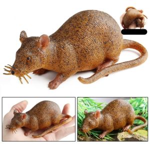 QINGXIP ปลาหมึกนุ่ม สัตว์ทะเลบีบ ปลาปักเป้าปลา แบบจำลองปู สัตว์ทะเลจำลอง ของเล่นเพื่อการศึกษา ฟิกเกอร์แอคชั่น แบบจำลองชีวิตทะเล เด็กผู้ใหญ่และเด็ก