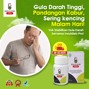 Insuldiab Pro Obat Diabetes Herbal Ampuh Aman BPOM dan 100% Halal Original