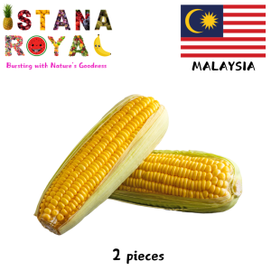 NUTRITIOUS SWEET CORN COB IMPORTED FROM MALAYSIA - 2 PCS - ISTANA ROYAL FRUITS