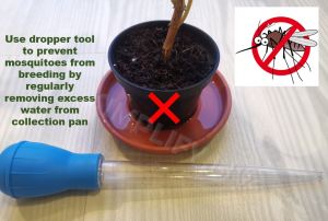 Water Collection Pan Suitable for Containers/Aquariums/Beta Fish Tanks/Multi - Purpose Dropper Tool (30ml) for Removing Excess Water from Pot Mosquitoes Prevention - Large