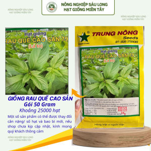 HẠT GIỐNG RAU QUẾ CAO SẢN (LÁ TO) 79 TRUNG NÔNG