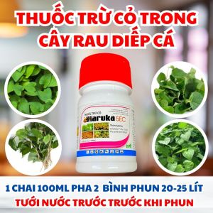 Thuốc Trừ Cỏ Lá Hẹp CHUYÊN DÙNG CHO RAU DIẾP CÁ – Thuốc Mát An Toàn Diệt Cỏ Lồng Vực Cỏ Chỉ Cỏ Mần Trầu Hiệu Quả Lâu Dài MARUKA 5EC (100ml) | Quizalofop-P-Ethyl 50g/L