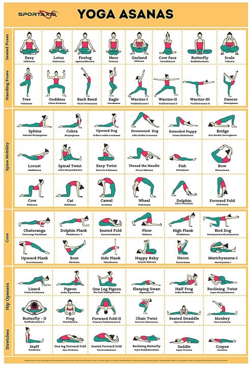 Vive Yoga Poster - Poses for Beginners and Experts - Algeria | Ubuy
