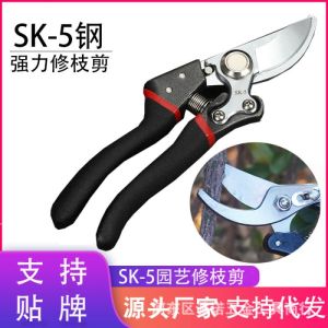 Stock Ready Gunting Dahan Ranting Bunga bengkok stek pruning Kebun alat potong bisa cod