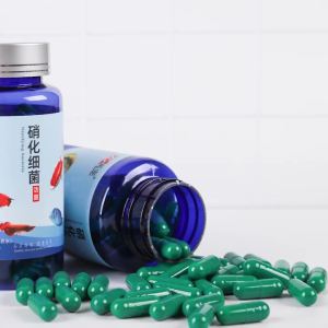 再宠硝化细菌水族箱硝化菌干粉金鱼缸水质净化消化细菌硝化菌胶囊
