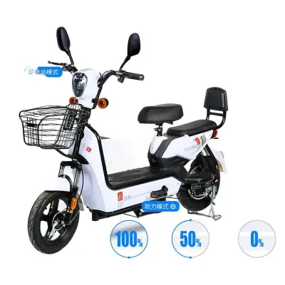 Big battery power 350W Can drive 60-90KM Adult electric bike Mini electric bike Electric scooter
