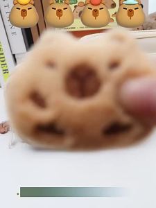 Capybara large-capacity coffee-colored pencil case made of sturdy and dirt-resistant material desktop stationery storage bag childrens stationery set gift suitable for both male and female student pencil cases.