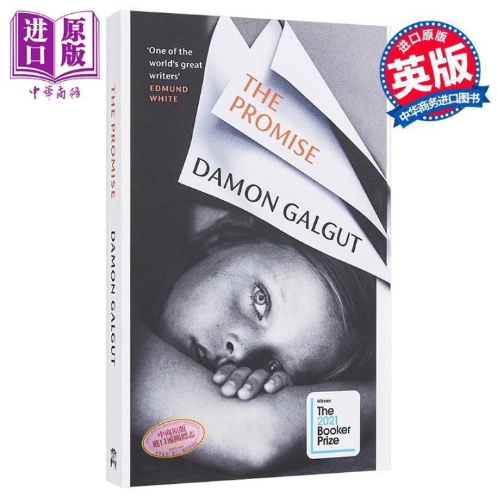 The Promise DAMON GALGUT Family Healing Novel, Original English Version ...