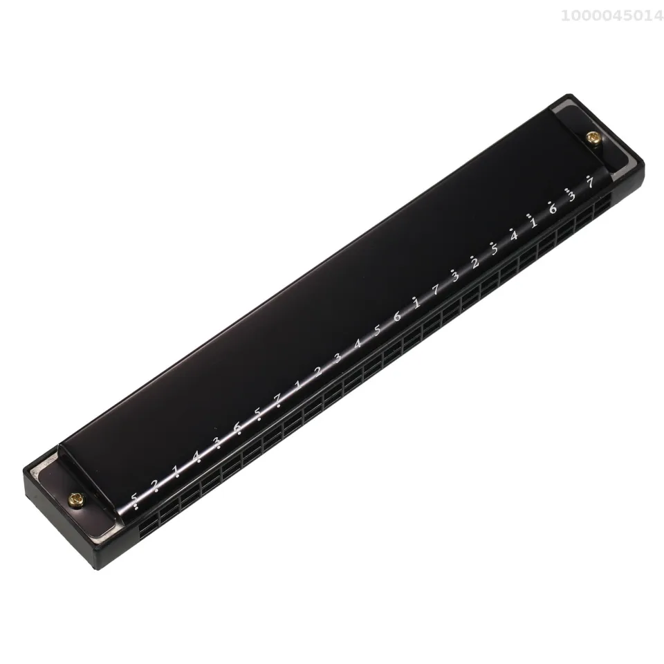 Harmonica Professional Harp Armonica Key Of C 24 Hole Polyphony Diatonic Mouth Organ With Case