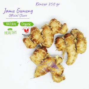 Grade A!! Kencur Super 250gr -  Lebih BERASA BESAR dan SEGAR