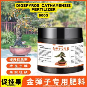 盆景专用肥料 金弹子专用肥料 缓释肥 控释肥 Special fertilizer for bonsai Diospyros cathayensis slow-release fertilizer