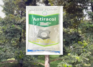 ANTIRACOL – Sản phẩm hỗ trợ kiểm soát sâu bệnh giúp cây phát triển xanh tốt
