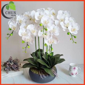 Chậu lan hồ điệp giả cao 60cm trang trí nhà cửa cửa hàng văn phòng lớp học CL5