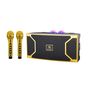 TECHZONE Bluetooth speaker  with mic and outdoor Family Party KTV set with 3D steroe  and corful LED  lights YS211