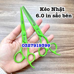 Kéo cắt tóc cao cấp WAHL 6in ( WAHL đỏ )