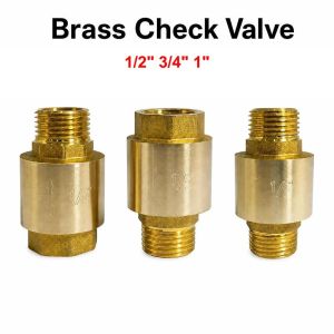 CHUN053634 1/2" 3/4" 1" Van một chiều bằng đồng thau Nam thành Nữ Chủ đề BSPT Van một chiều Bền bỉ Nam với nam Van một chiều đường ống