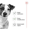 Royal Canin Mini Adult (8kg) Dry Dog Food - Size Health Nutrition. 