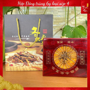Hộp Đông trùng hạ thảo Tây Tạng 6 gram đủ các loại size tặng kèm bột Sâm canada