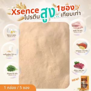 [3 กล่อง] Xsence โปรตีนพืช - ฟิต 14 วันทันใจ