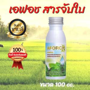 เอฟอช (AFORCH) สารจับใบ สารเร่งการดูดซึม 100 ml.
