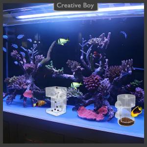 [Creative] Fish Feeder For Aquarium 2025 New Fish Tank Dish Tray With Suction Cup Acrylic Fish Feeding Tube Fish Food Holder