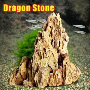 Natural Dragon Stone Aquascaping Ohko Stone Rock for Aquariums Decoration Fish Tank Aquascaping Stone