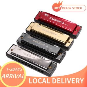 🚚Local Delivery🔥 10 Hole Harmonica Mouth Organ Puzzle Musical Instrument Beginner Teaching