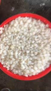 1KG HẠT ĐÁC TƯƠI LOẠI GIÀ  cứng vẫn dẻo chuẩn rim làm topping trà đồ uống pha chế hút chân không