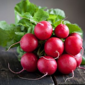 Hạt giống củ cải đỏ tí hon F1 - ( 5gram/gói )