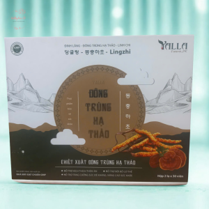 Đông Trùng Hạ Thảo – Giải Pháp Tự Nhiên Cho Một Cơ Thể Khỏe Mạnh Từ Bên Trong