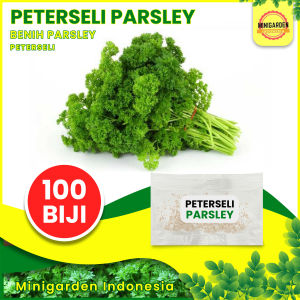 Benih PETERSELI PARSLEY 100 BIJI bibit tanaman sayur sayuran hidroponik